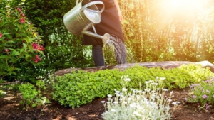 Alles für den Garten - Gartenpflege