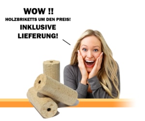 Wow Holzbriketts mit Lieferung