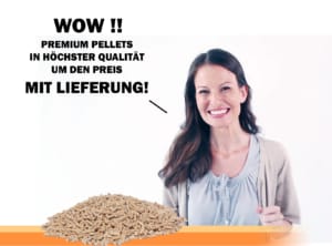 Holzpellets in bester Qualität mit Lieferung