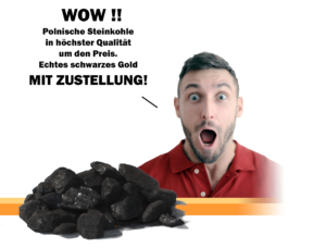 Wow polnische Steinkohle mit Lieferung