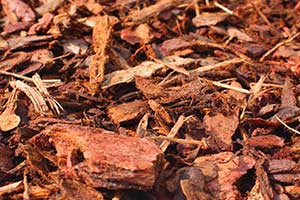 Rindenmulch für Verrottung