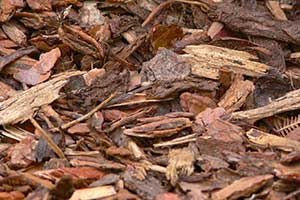 Rindenmulch grobe Körnung